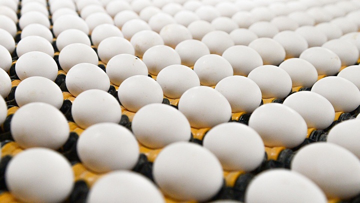 Минсельхоз проработает меры для стабильных цен на яйца